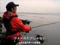 オレ流エギング（やすべさんの場合）