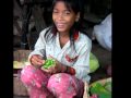 videos de Cambodia Farmer's Market Slideshow