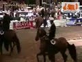 Paso fino nacional 2007 troche galope yeguas