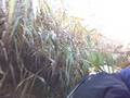 videos de Giethoorn 2