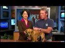 Pet Pals: Mookey