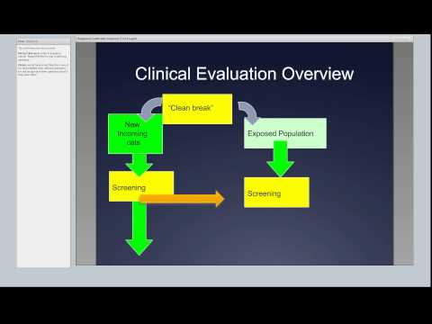 how to treat rbc morphology