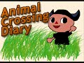 Animal Crossing City Folk New Villager