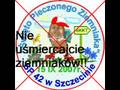 Ziemniaki i kartofle