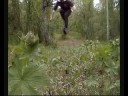 Jens Jensen : Life based on running