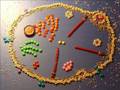 Phagocytosis the Classical (Edible) Model