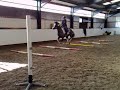 Snoopy Jumping At Home