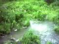 flash floods-north east england