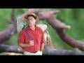 WHO WANTS TO BE AN ENTOMOLOGIST? part II