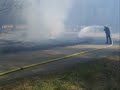Forest Fire