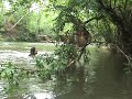 RIO MUTUCA 6 RIO MUTUCA 6