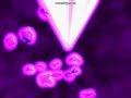 Planescape Torment Meteor Storm Bombardment spell