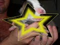 Cuccioli Sean e Shine