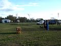 Perros de intervención Policial