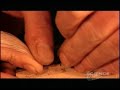 How It's Made: Violins