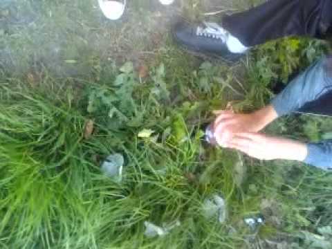 quand prendre efferalgan codeine