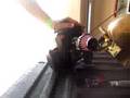 gp460 revving new ddm stock engine