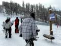 dancando social security em beaver creek
