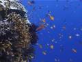 videos de GBR Mike Ball Trip