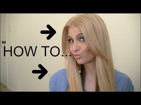 how to care for a t blondi