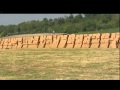 Skydiving Without a Parachute: INSANE STUNTMAN JUMPS 2000 feet!!