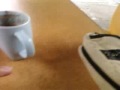 Typical lunch with stefania (MOV-0017.3gp)