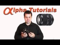 Alpha Tutorials Podcast Episode 12