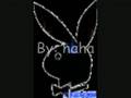 funny animlas