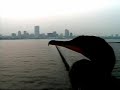 WISN 12 Weather Camera Gets Winged Visitor