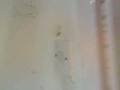 videos de Horrible living conditions.mp4