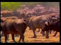 Luangwa Valley