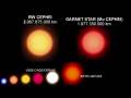 Our Size in the Universe (2008 UPDATE)
