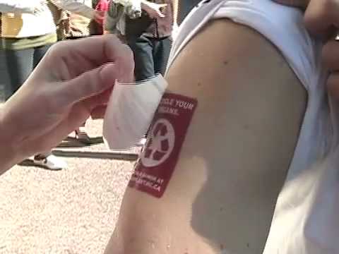 how to transplant mistletoe