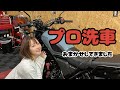 【プロ洗車】CLをつるつるにしてもらいました