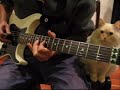 Kalmah cover (Heroes to Us) with cat