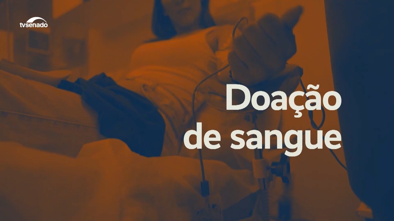 Doação de sangue: saiba mais sobre o processo que vai da coleta à distribuição
