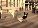 free street runing