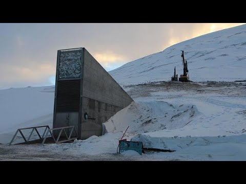 Gut gekhlt: Spitzbergens Samenbank