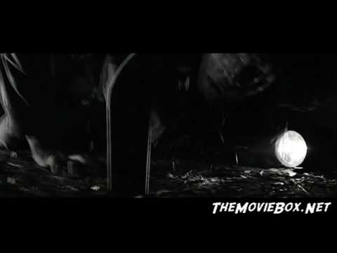 Imagem de Amostra do You Tube