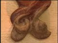 Click here to watch this video 木彫展