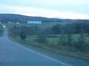 moose on road moose on road