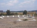 Pony Hunters 2'3; Jumping Jack Flash