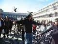 Venice San Marco square with pigeons