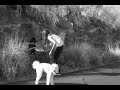 FOUND - BONGO BOY