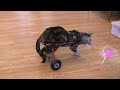 Tashi Kart!