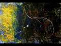CloseEncounters (AmbientTrance)