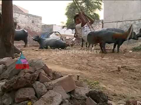 kerala girls - Kerala girls turns Haryana bride : Akalangalile India on Asianet News For latest news: See more at: http://www.asianetnews.tv/ Subscribe the youtube channel ...