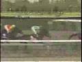 第29回有馬記念シンボリルドルフ