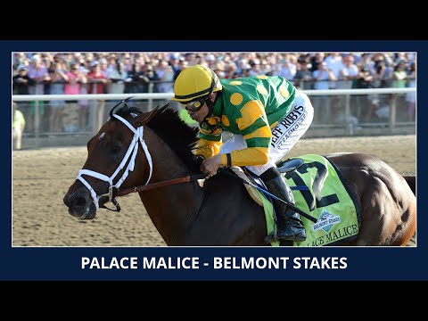 stakes - Long shot Palace Malice emerged as the hero of Todd Pletcher's record five starters in the 145th running of the Grade 1, $1 million Belmont Stakes, charging ...