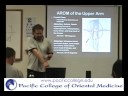 ONE1 F08 WK 8&9 Biomx upper extremity P4 Shoulder ONE1 F08 WK 8&9 Biomx upper extremity P4 Shoulder
